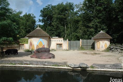 Enclos des hippopotames au Pal