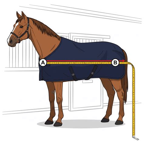 Schéma expliquant la mesure AB pour la taille de couverture Horseware