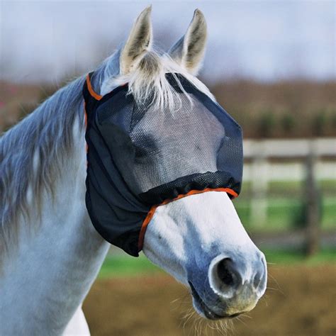 Cheval avec un masque anti-mouches