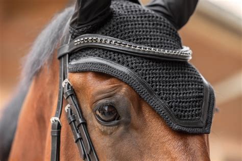 Poney portant un bonnet anti-mouches