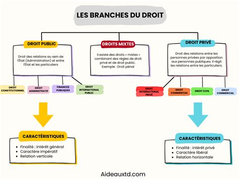 Schéma illustrant les différentes branches de l'éthologie canine