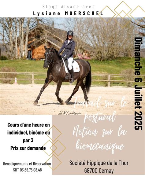 Un couple cavalier-cheval en pleine harmonie lors d'une séance d'entraînement