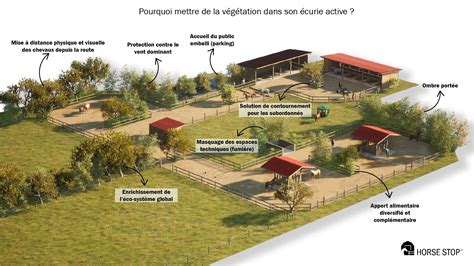 Diagramme illustrant les bienfaits d'une écurie active sur la santé du cheval