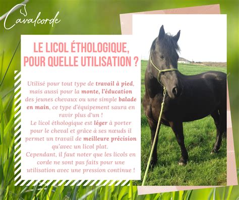 Schéma comparatif licol traditionnel vs licol éthologique