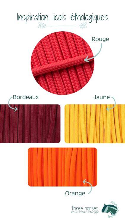Collection de licols éthologiques de différentes couleurs