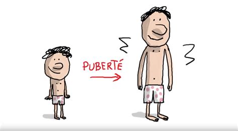Illustration schématique de la puberté chez l'adolescent