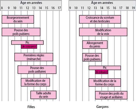 Infographie comparant les changements pubertaires chez les filles et les garçons