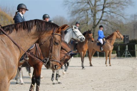 Personnes montant à cheval dans un club hippique