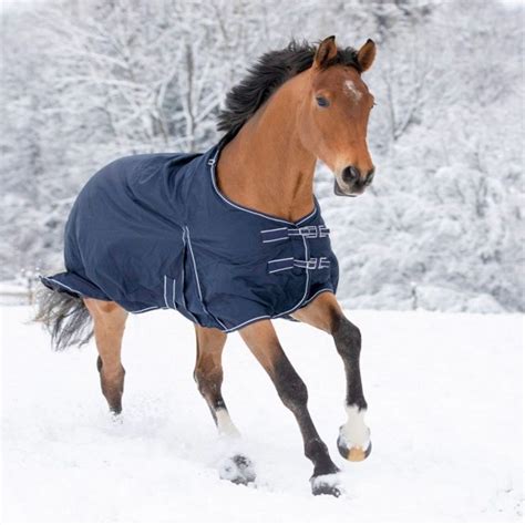 Cheval portant une couverture polaire Waldhausen Sponsor