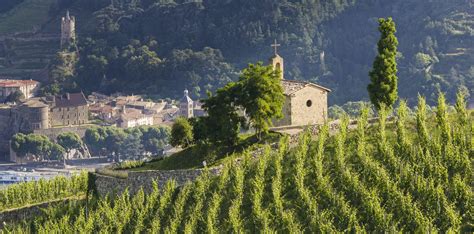 Paysage de la Drôme avec des collines verdoyantes et un ciel bleu