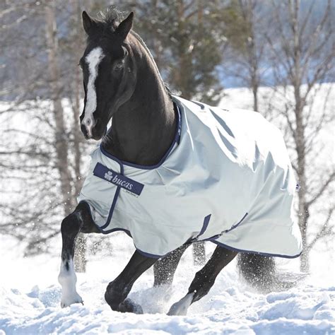Cheval portant une couverture d'hiver