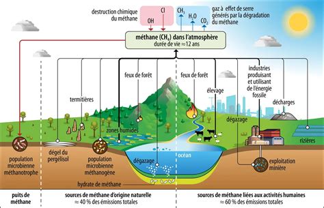 Schéma illustrant le rôle du CO dans la durée de vie du méthane