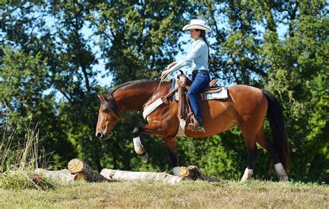 Cavalier d'équitation western en action