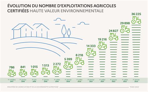 Évolution historique des muserolles équestres