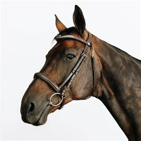 Muserolle française classique