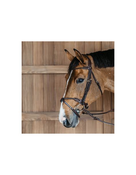 Muserolle combinée avec noseband