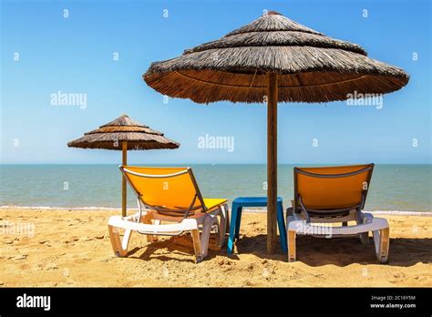 Ambiance de plage estivale avec transats et beach-volley