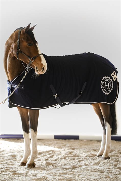 Accessoires d'équitation Harcour