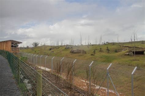 Illustration d'un enclos à montures avec plusieurs Dragodindes