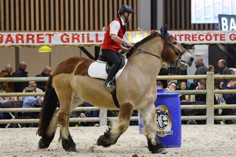 Cheval de trait lors d'une présentation en concours