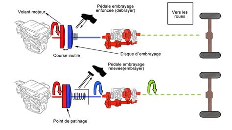 Schéma de la chaîne cinétique du cheval