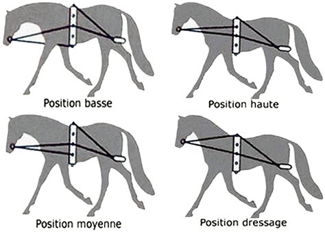 Illustration des erreurs d'ajustement de l'enrênement Pessoa