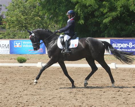 Louise Studer en action en dressage handisport