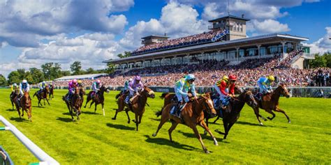 Exemple de fiche de course hippique avec détails sur les chevaux, jockeys et entraîneurs