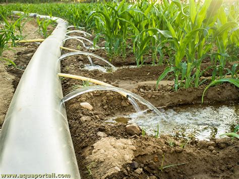 Schéma illustrant le système d'irrigation des canaux de Cheval-Blanc