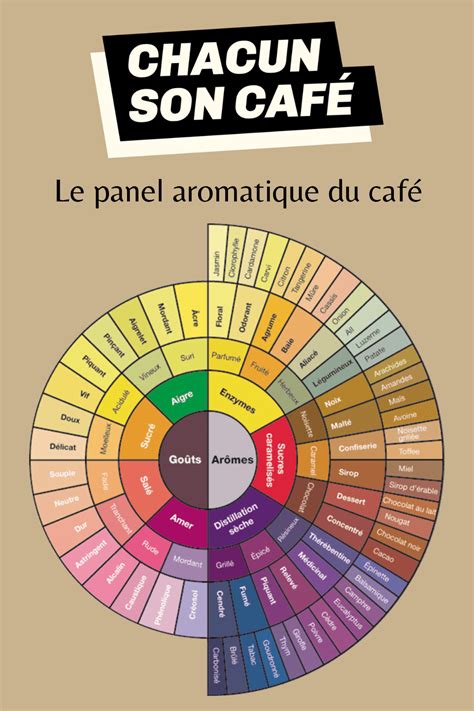Roue des familles aromatiques du café