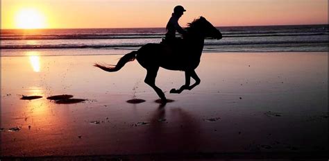 Cheval au galop sur une plage au coucher du soleil