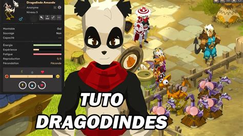 Schéma illustrant les différentes statistiques d'une dragodinde