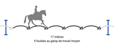 Schéma d'une foulée de cheval