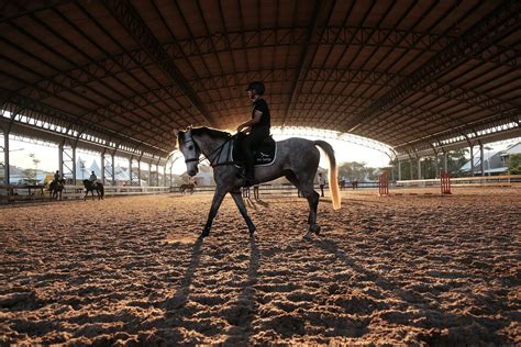 Manège d'équitation avec des cavaliers
