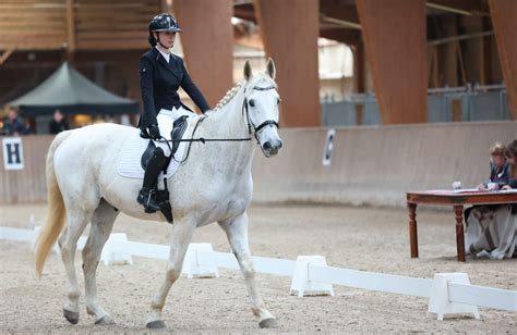 Cavaliers de dressage en action