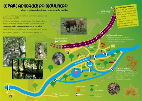 Cerfs broutant dans le Parc René Canivenc à Gradignan