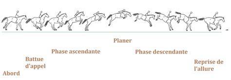 Diagramme des phases d'appui du galop à trois temps chez le cheval