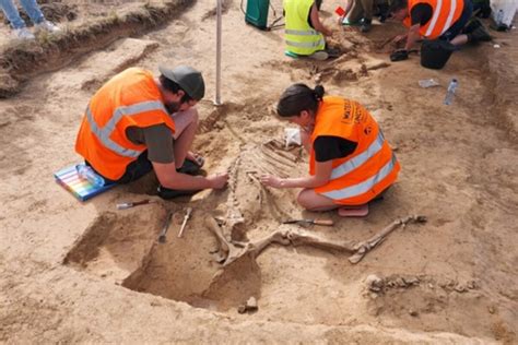 Membres humains amputés dans un chantier historique