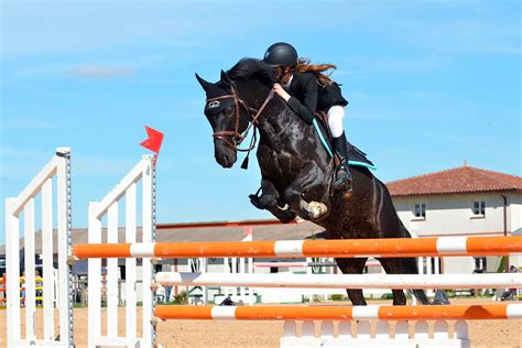 Cheval de CSO en action