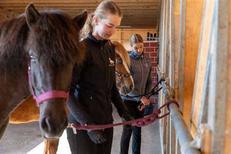 Poney mordillant le bois de son box