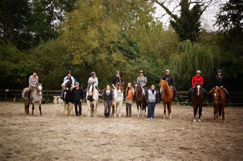 Poney grattant le sol avec son antérieur