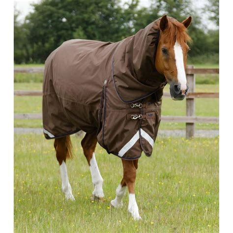 Cheval avec une sous-couverture et une couverture extérieure