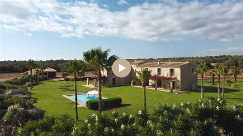 BoJack Horseman dans un centre de désintoxication