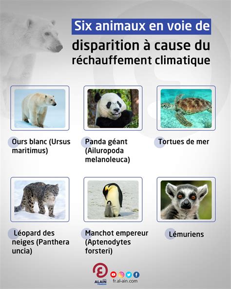 Illustration humoristique comparant différents animaux 