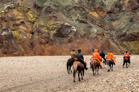Cavaliers et chevaux islandais dans un paysage verdoyant