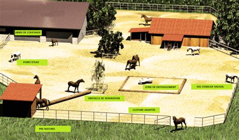 Vue aérienne d'une écurie avec des chevaux dans les paddocks