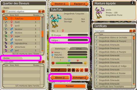 Image d'une Dragodinde montée par un personnage