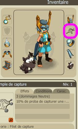 Image d'un joueur utilisant le sort de capture sur une Dragodinde