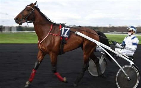 Photo d'une femme jockey lors d'une course
