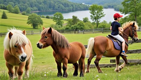 Groupe de petits poneys de différentes races (licorne, pégase, poney terrestre)